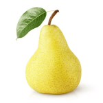 گلابی دوشیز